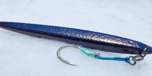 Cephalopod Color Fishing Jig